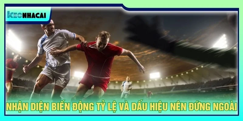 Nhận diện biến động tỷ lệ và dấu hiệu nên đứng ngoài